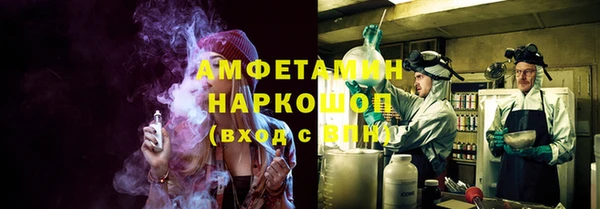 трава Надым