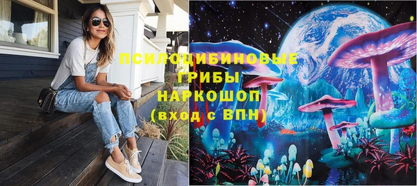 трава Надым
