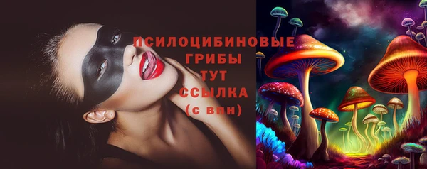 трава Надым