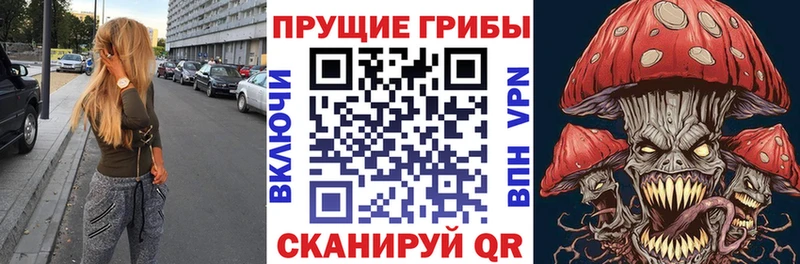 Галлюциногенные грибы Magic Shrooms  Купить закладки  Можайск 